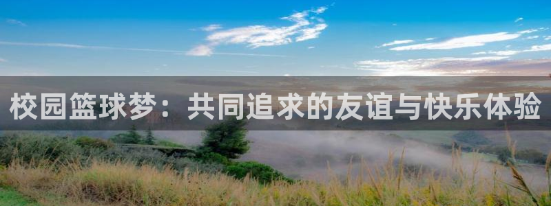 意昂4登录平台：校园篮球梦：共同追求的友谊与快乐体验