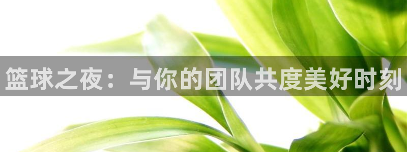 意昂4登录：篮球之夜：与你的团队共度美好时刻