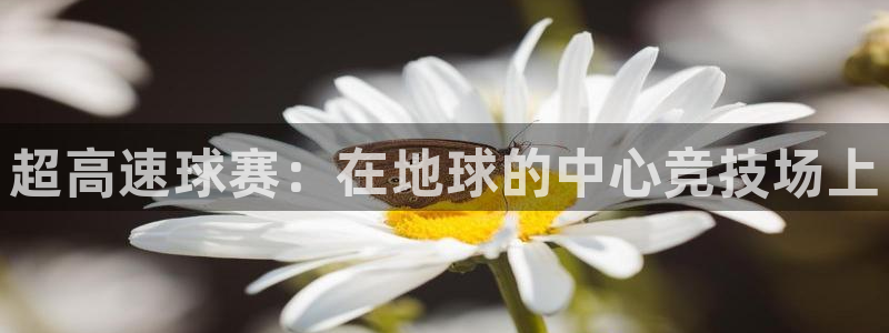 意昂4体育