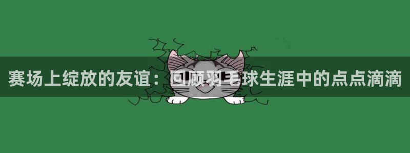 意昂4登陆：赛场上绽放的友谊：回顾羽毛球生涯中的点点滴滴