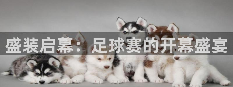 意昂4主管：盛装启幕：足球赛的开幕盛宴