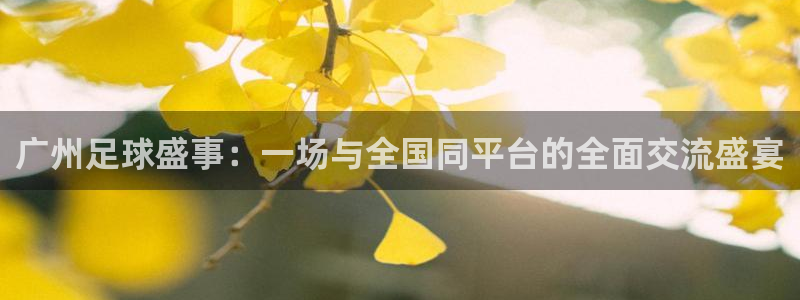 意昂4体育：广州足球盛事：一场与全国同平台的全面交流盛宴