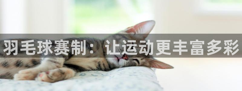 意昂4登录：羽毛球赛制：让运动更丰富多彩