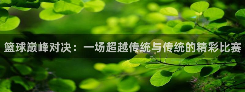 意昂4登录平台：篮球巅峰对决：一场超越传统与传统的精彩比赛