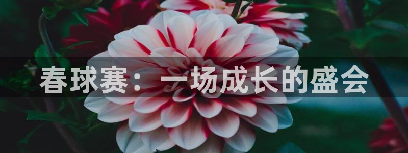 意昂4：春球赛：一场成长的盛会