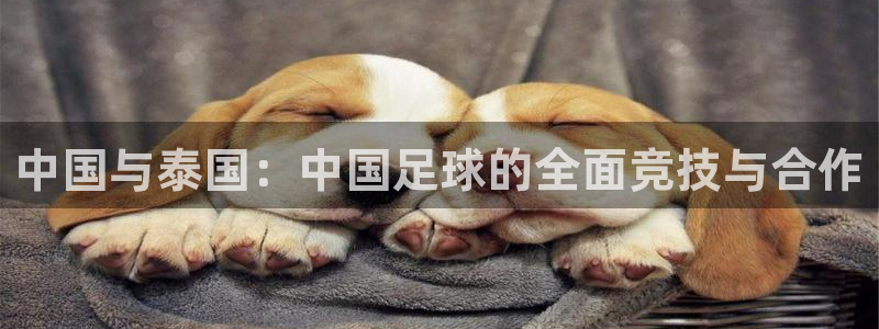 意昂4登陆：中国与泰国：中国足球的全面竞技与合作